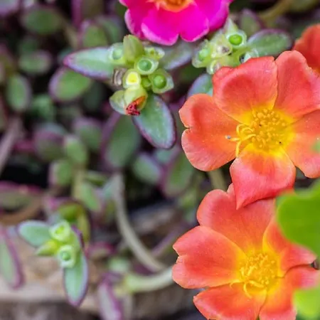 아파트 Cconforthotels Domus Venezia 바리