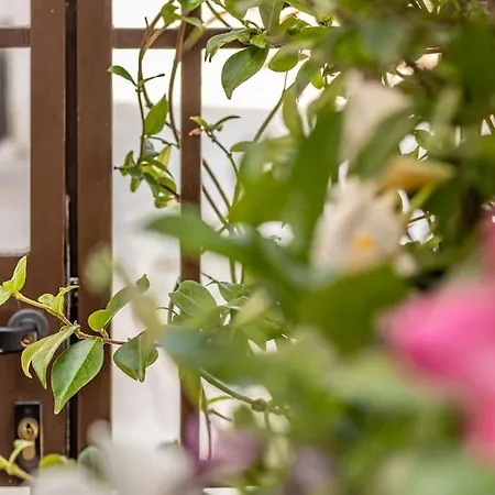 Apartment Cconforthotels Domus Venezia Bari