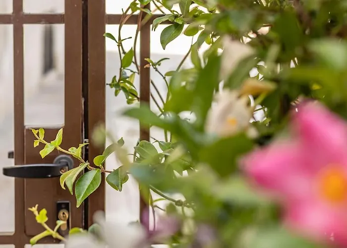 アパート Cconforthotels Domus Venezia バーリ